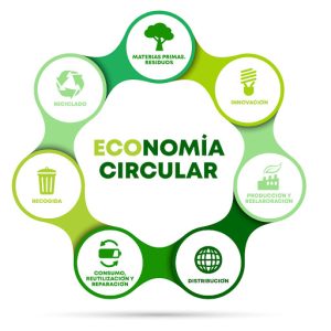 Economía Circular: Un Modelo para un Futuro Sostenible con Ecobrillo